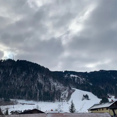 Fedelia A Vicino Al Centro * Tarvisio